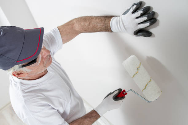 Best Attic Mold Removal  in Verandah, FL