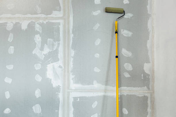 Best Basement Mold Removal  in Verandah, FL