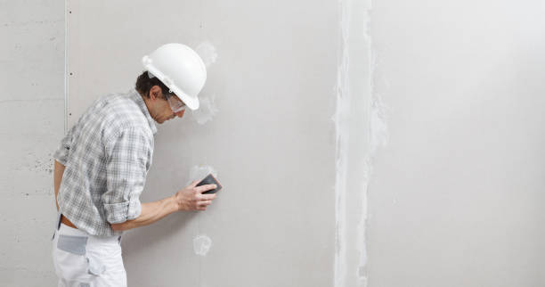 Best Mold Odor Removal Services  in Verandah, FL