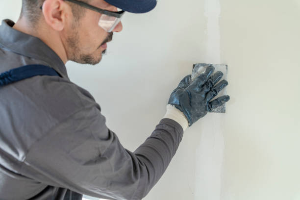 Best Emergency Mold Remediation  in Verandah, FL