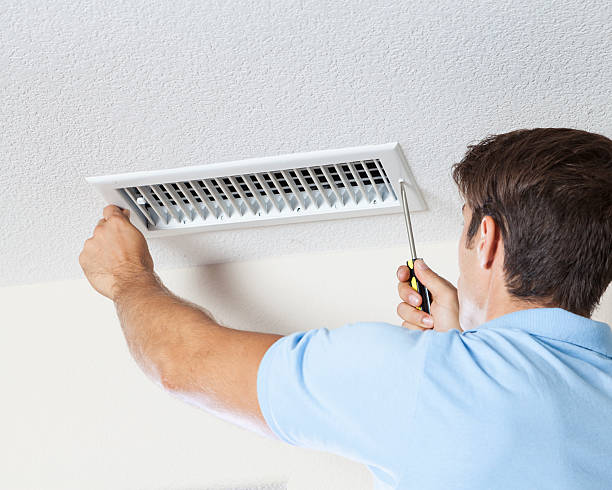 Reliable Verandah, FL Mold Removal Solutions