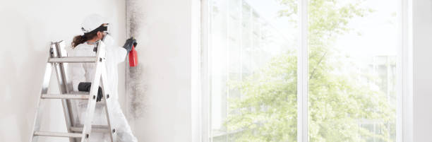 Best Environmental Consulting for Mold Prevention  in Verandah, FL