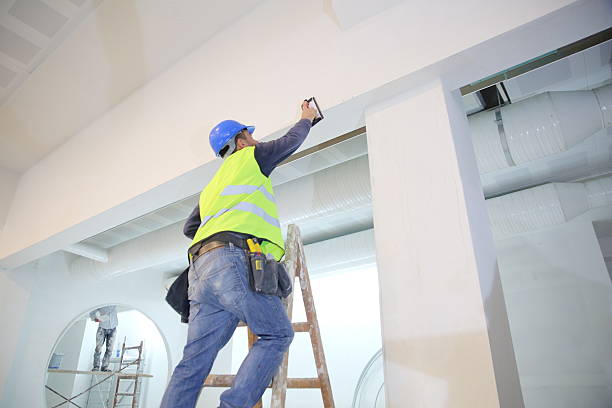 Best Mold Remediation for Healthcare Facilities  in Verandah, FL