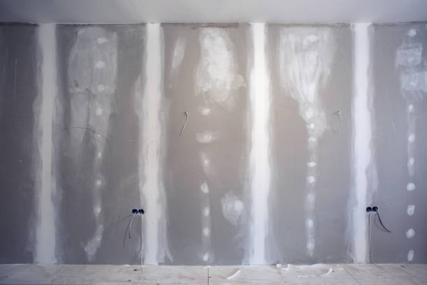 Best Airborne Mold Testing  in Verandah, FL